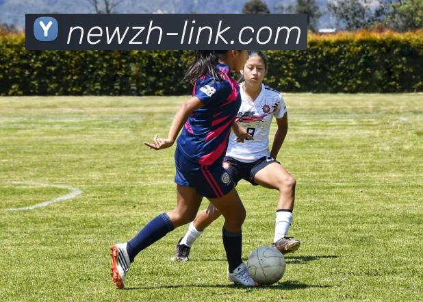 3775a线路官网APP 体育赛事宣传图